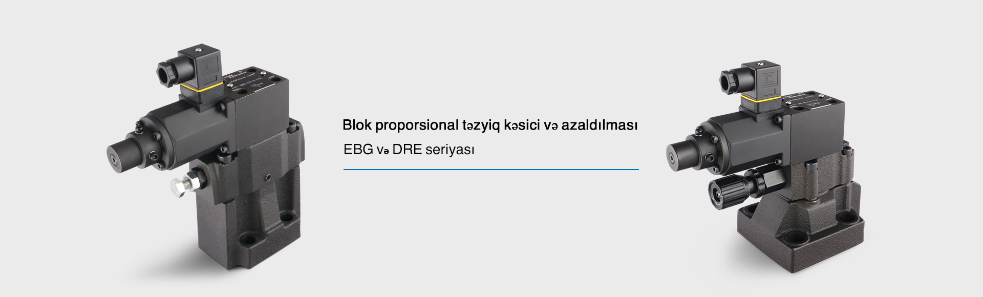 blain hydraulics hidravlik qaldırıcı klapan